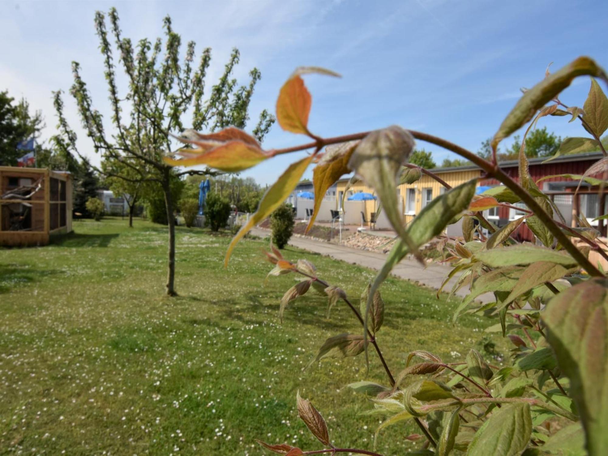 Pretty Apartment In Wiek With Garden Wiek auf Ruegen Luaran gambar